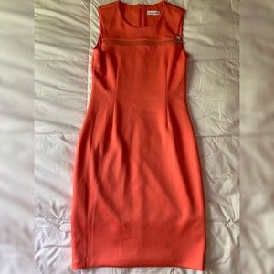 Calvin Klein Formal Dress